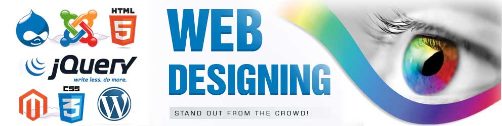 Web Designing & Development Company