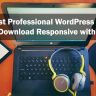 30+ Best Professional WordPress Themes Free Download Responsive with Slider