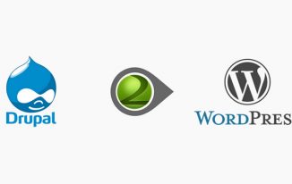 Drupal to WordPress Migration: How to Get the Best Result