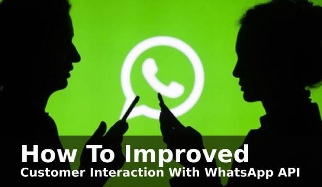 How To Improved Customer Interaction With WhatsApp API?