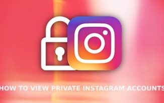 How To View Private Instagram Accounts?