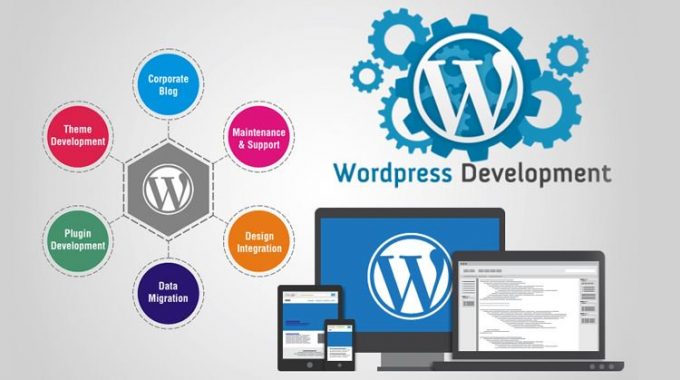 WordPress Theme Customization Service