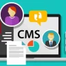 Traditional vs Headless CMS: Digital Evolution and Content Velocity