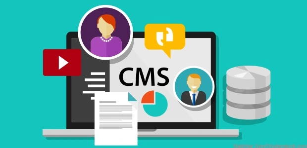 Traditional vs Headless CMS: Digital Evolution and Content Velocity